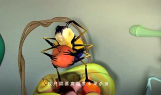 小狐狸发明记主题曲 小狐狸发明记主题曲